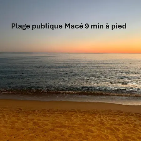 Lumineux 3 Pieces Renove Face Au Port L! A2b218 *